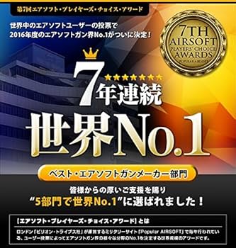 HK416 カスタム済み　マガジン2個 専用ケース付き 000000030634_WeWhE62.jpg